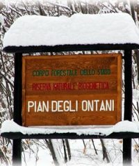 Riserva di Pian degli Ontani