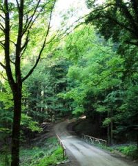 riserva naturale del Pigelleto