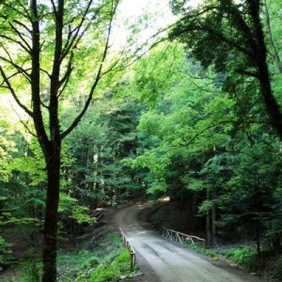 riserva naturale del Pigelleto