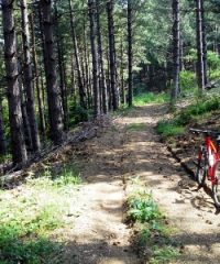 Riserva naturale di Poggio all’Olmo