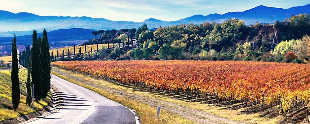 Road trip nella Valle del Casentino