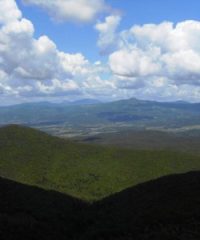 Oasi Faunistica di Monte Leoni