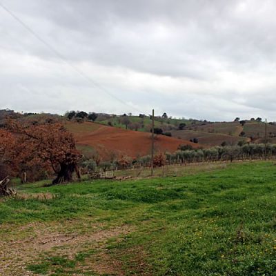 Farmland in Maremma