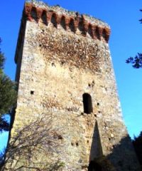 Torre bassa