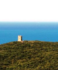 Torre di Cala di Forno
