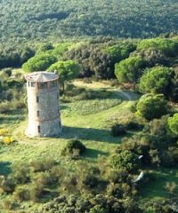 Torre delle Cannelle