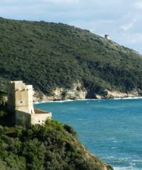 Torre delle Cannelle