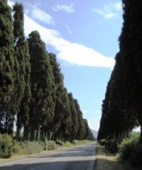 Via dei Cipressi