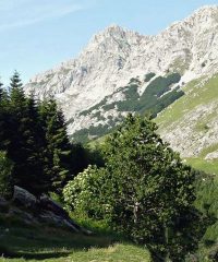 ALPI APUANE