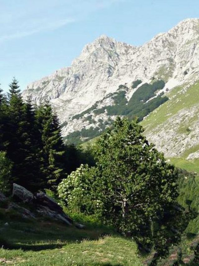 ALPI APUANE