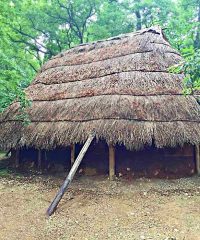 Museo della Preistoria