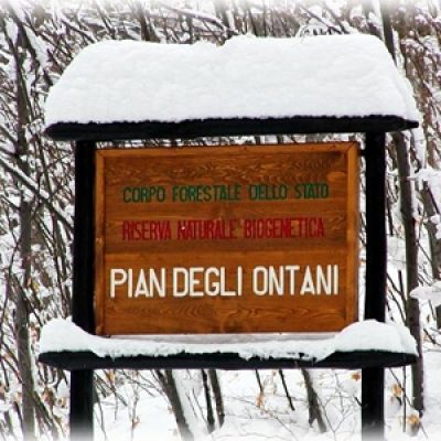 Riserva di Pian degli Ontani