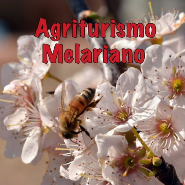 Agriturismo Melariano