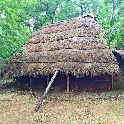 Museo della Preistoria