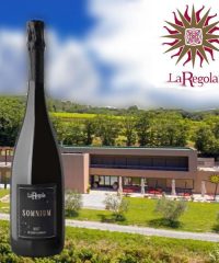 La  Regola cantina