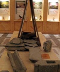 Museo di Storia Naturale della Lunigiana