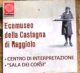 museo della Castagna