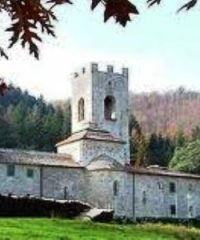 Badia Coltibuono