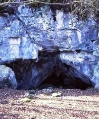 Museo Civico per la Preistoria e Parco Archeologico Naturalistico