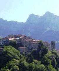 Pruno