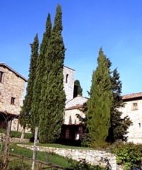 Spaltenna