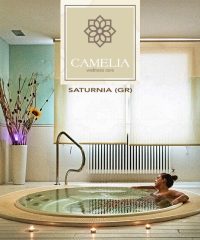 Camelia Wellness Care