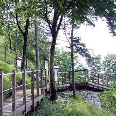 Ecomuseo della Montagna Pistoiese – Orto Forestale