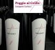 Poggio al Grillo