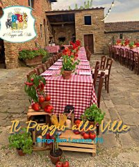 Il Poggio alle Ville
