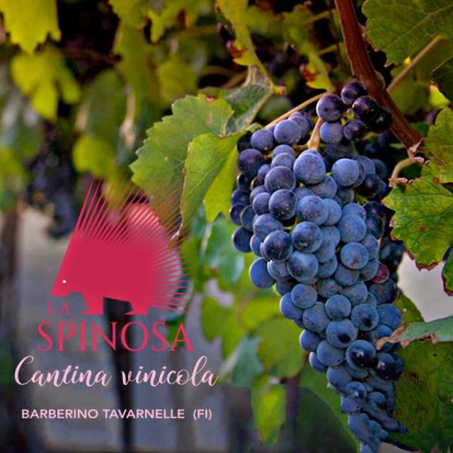 La Spinosa cantina biologica