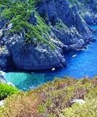 Isola di Gorgona