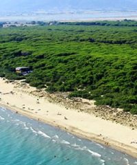 Marina di Bibbona