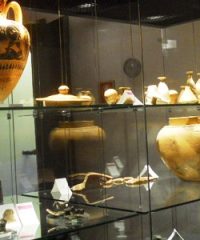 Museo Civico Archeologico la Cinquantina