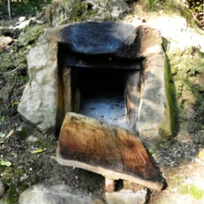 Museo del Bosco