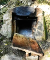 Museo del Bosco