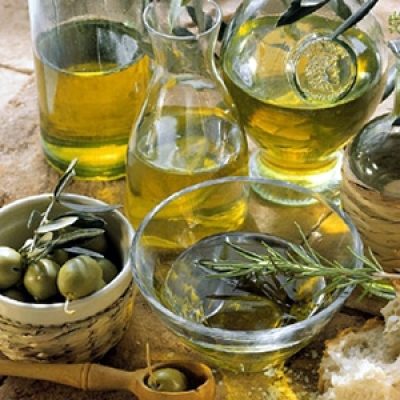 Strada dell’olio dei Monti Pisani