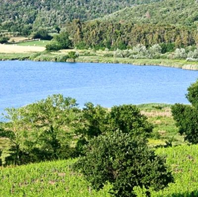 Parco Archeologico della Civiltà Etrusca del Lago dell’Accesa