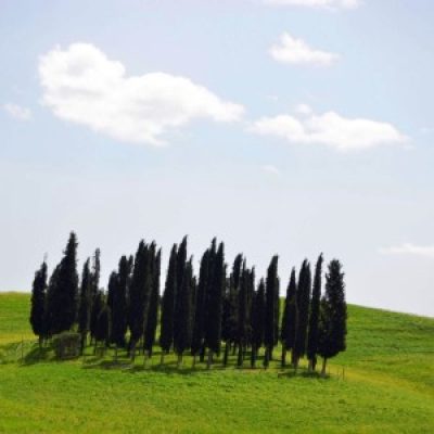 CRETE SENESI E VAL D’ORCIA