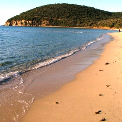 Riserva naturale Scarlino