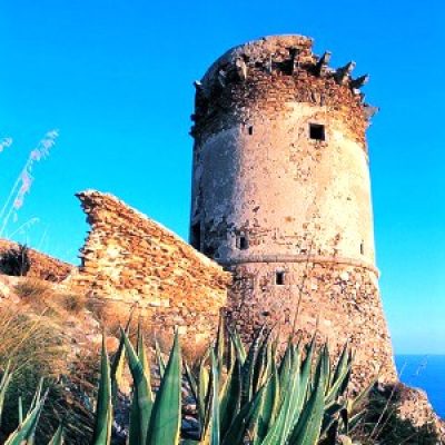 Torri Avvoltore