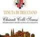 Tenuta di Trecciano