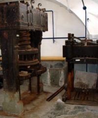 Museo della Carta