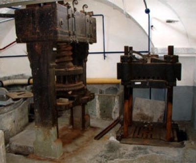 Museo della Carta