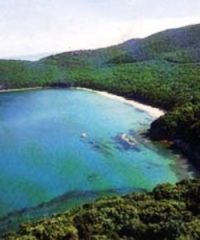 Bandite di Scarlino