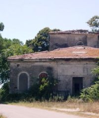 Coltano