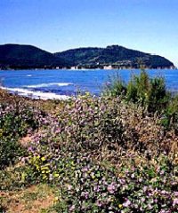 Parco di Rimigliano