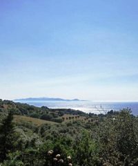 Puntiglioni