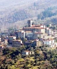 Sorana