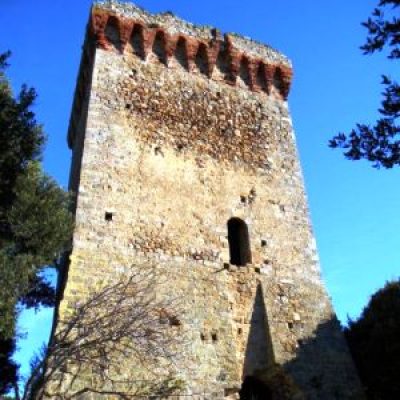 Torre bassa