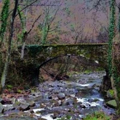 Riserva naturale Alto Carigiola